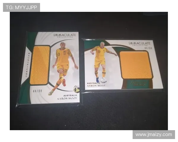 法甲外援身价分析及其市场波动规律